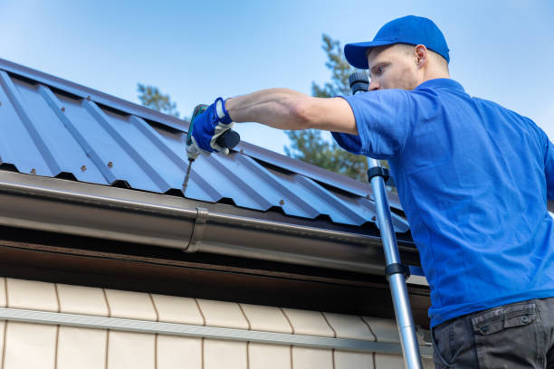 Best Solar Panel Roofing Installation  in Three Rivers, MI