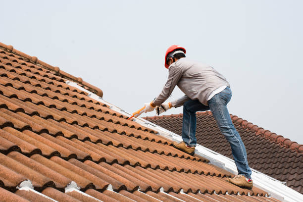 Best Roof Coating and Sealing  in Three Rivers, MI